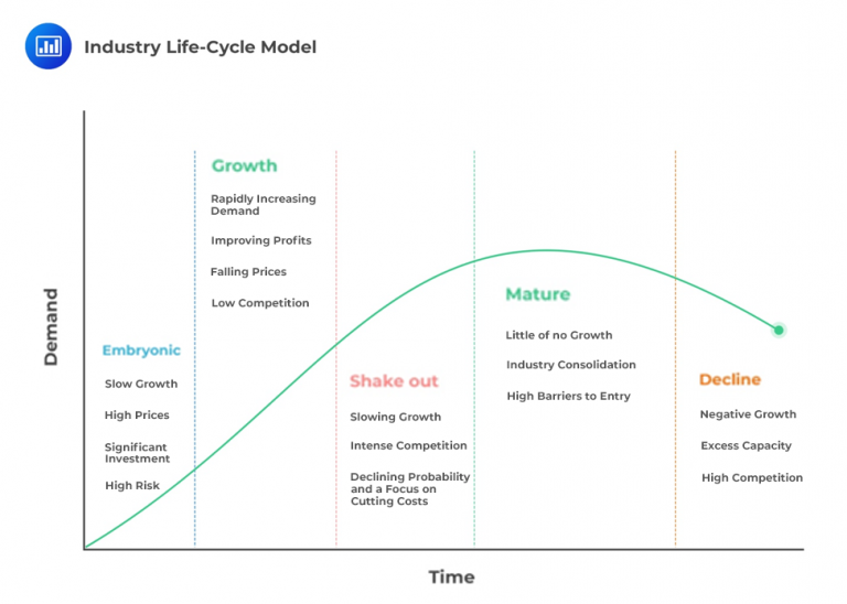 Industry Life Cycle Analysis Example